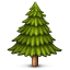 :evergreen_tree: